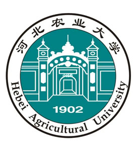 西城河北农业大学